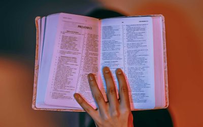 Formação de Catequistas na Diocese de Coimbra 2024/25